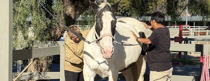 Ivey Ranch Park Volunteer Orientation